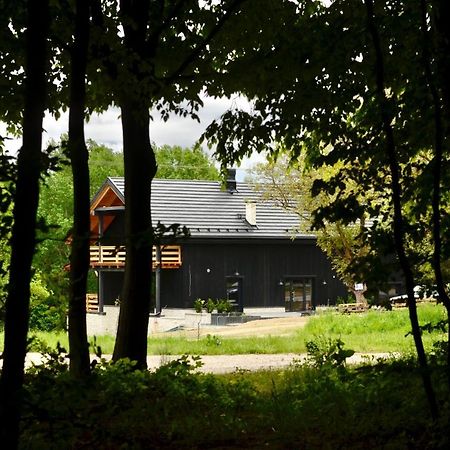 Bed and Breakfast Witoszyn28 Казимеж-Дольны Экстерьер фото
